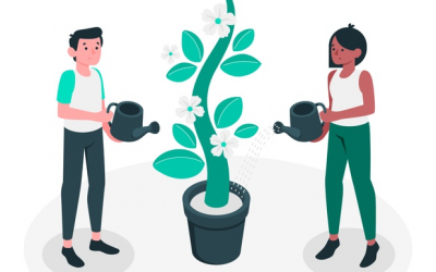 Impulsando cambios en la organización.