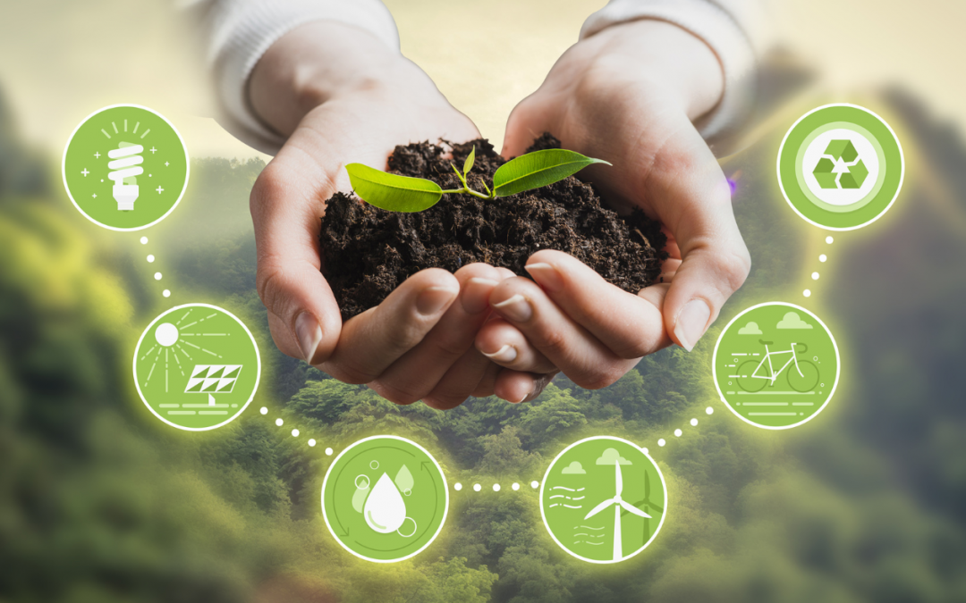 Construyendo un Futuro Sostenible: Estrategias Empresariales para un Impacto Positivo