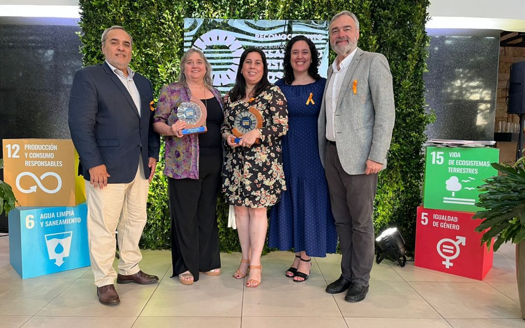 La sostenibilidad como estrategia de negocio.