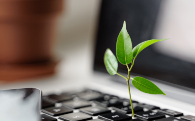 Aprendizaje y Sostenibilidad: Claves para el Éxito Empresarial