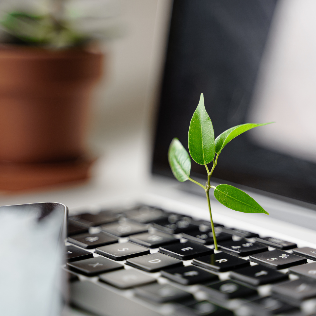 2024_01_26_Aprendizaje-y-Sostenibilidad