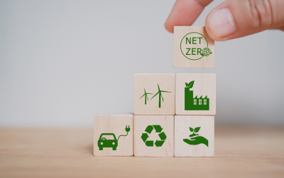 Medio Ambiente y Trabajo: Prácticas Sostenibles en la Oficina