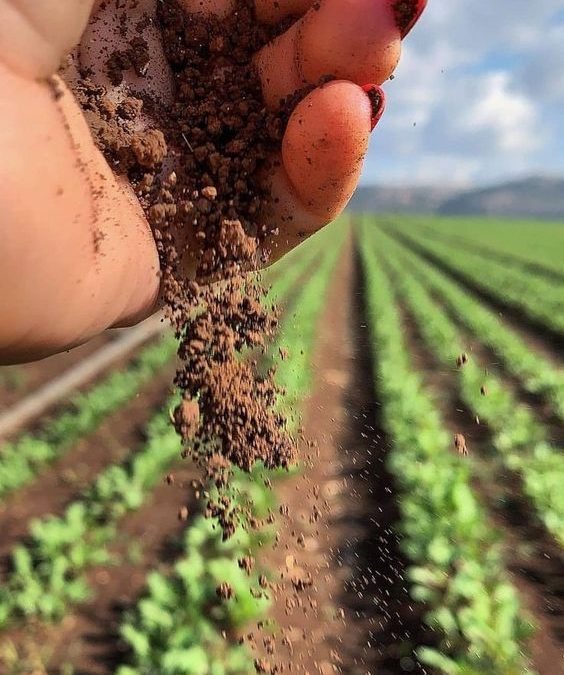 (El Nacional) Peaje en hidrovía impactó negativamente en costos de la agroindustria