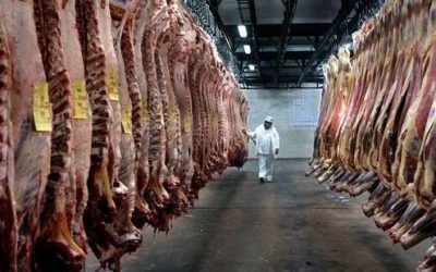 Sector cárnico atraviesa un año complejo