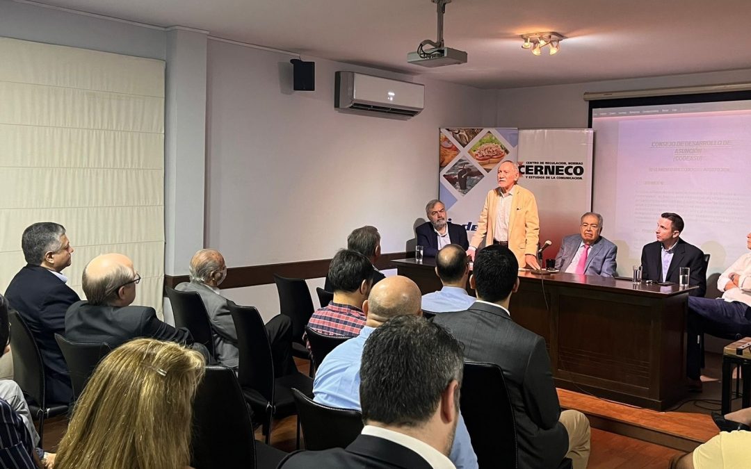 (5Días) Consejo propone tomar las riendas y encaminar a una Asunción a la deriva