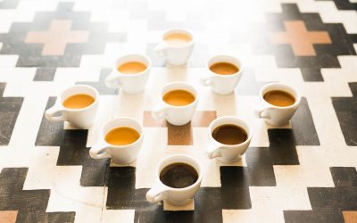 Resiliencia: ¿Qué decisiones tomar ahora?