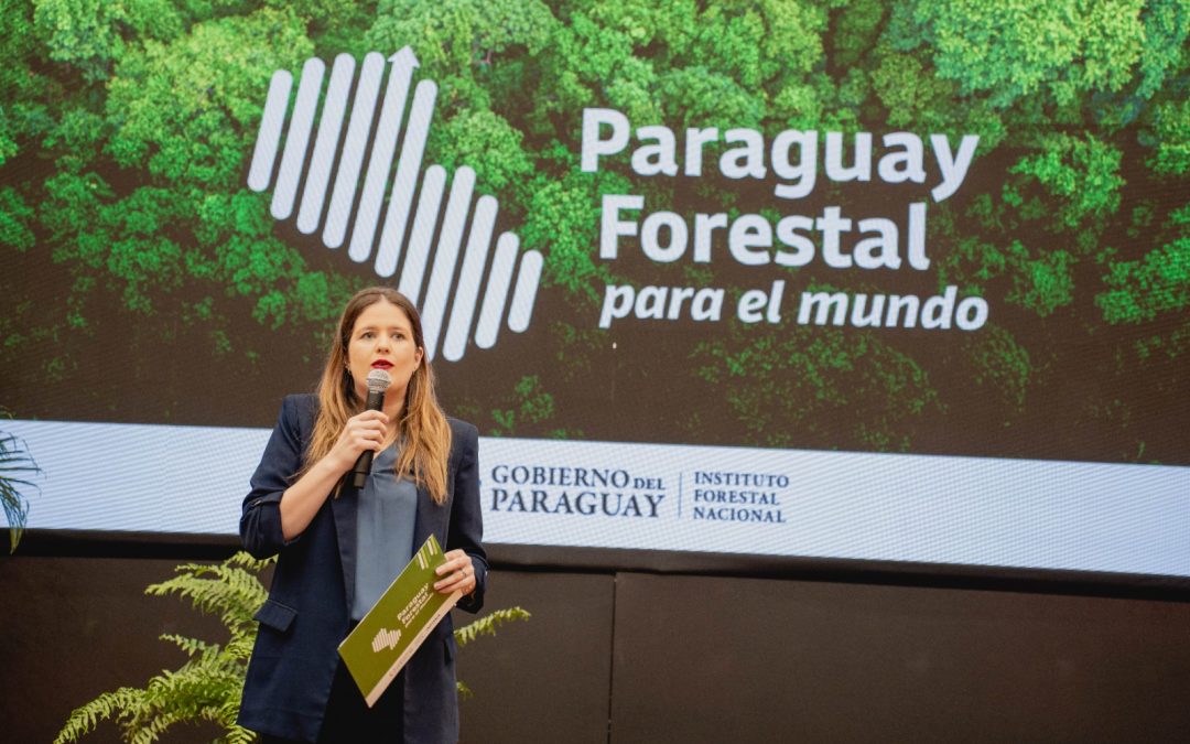 El sector forestal se está formalizando y el siguiente reto es rentabilizar la conservación