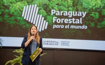 El sector forestal se está formalizando y el siguiente reto es rentabilizar la conservación