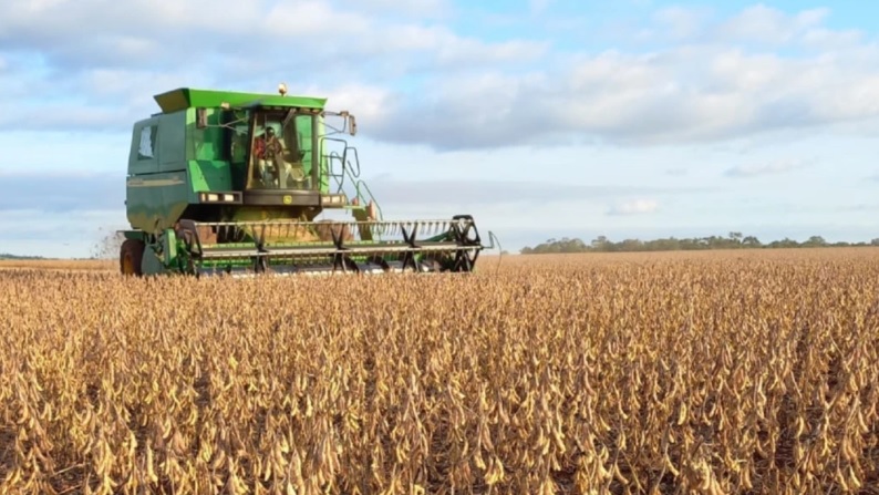 (Última Hora) Atípica suba del dólar mayorista pone en alerta a los importadores