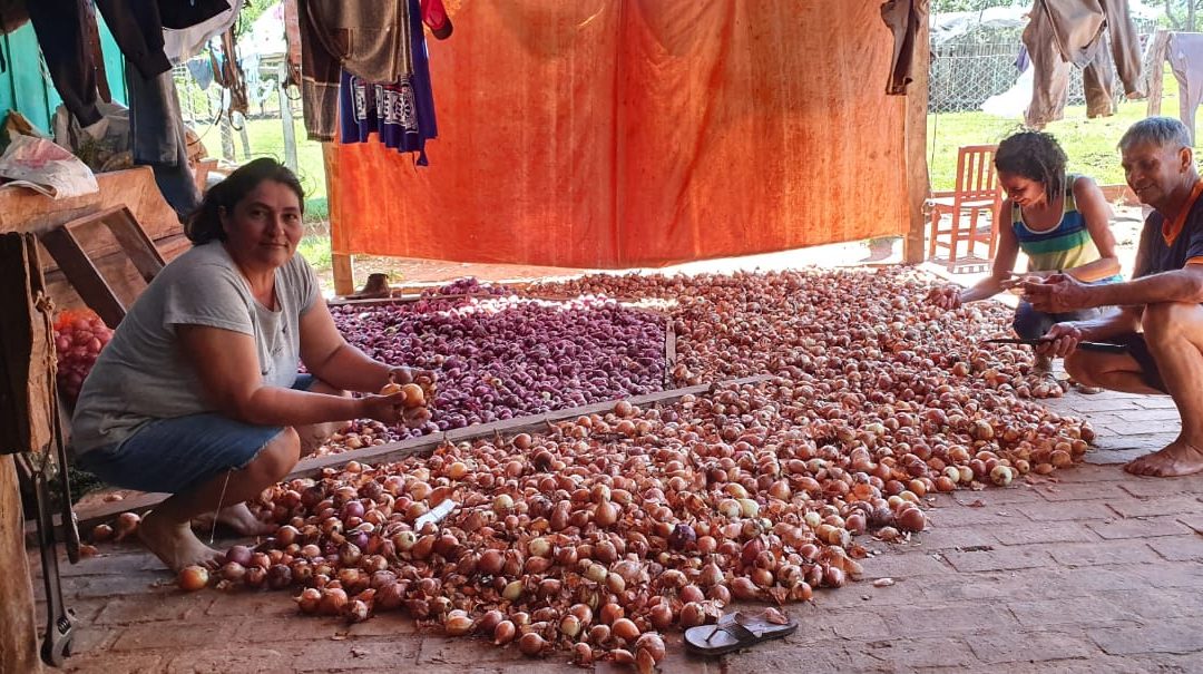 Evaluación del Proyecto: “Derecho a la alimentación con la inclusión de mujeres, niños, niñas y adolescencia, en San Pedro del Paraná – Expte. N° 0C61/2016”