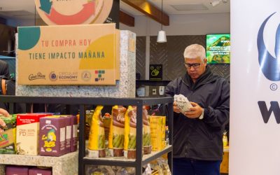 Potencialidad no aprovechada: ¿Por qué Paraguay aún no es un hub de producción orgánica?