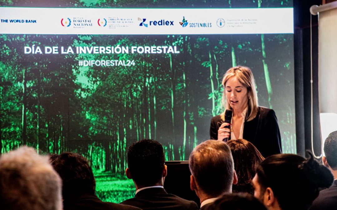 El negocio forestal se consolida como el siguiente dinamizador de la economía paraguaya