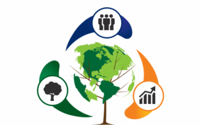 Las organizaciones de triple impacto.