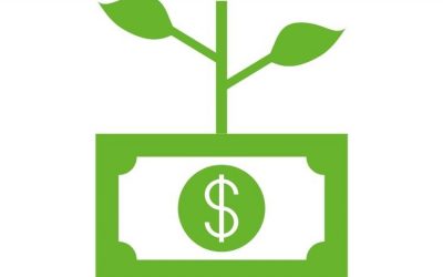 La agricultura crecería en torno al 6% a pesar de la crisis del Covid-19.