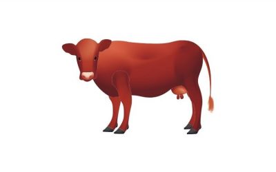 La ganadería crecería levemente en 2020 a pesar de la crisis mundial y local