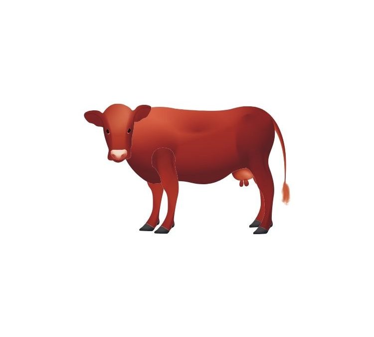 La ganadería crecería levemente en 2020 a pesar de la crisis mundial y local