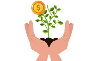 Precios de la soja disminuye en las últimas semanas