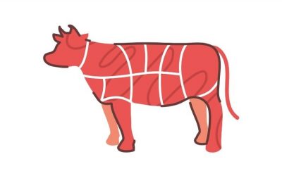 Prevén disminución en la exportación de carne bovina paraguaya