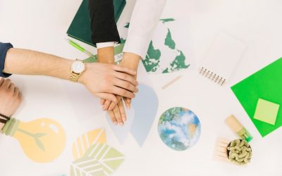 Importancia del compromiso organizacional con la Sostenibilidad.