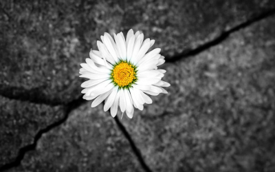 Cómo reconvertir el estrés en Resiliencia.