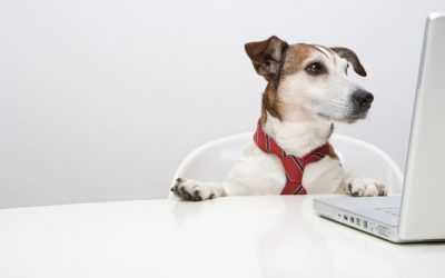 (Nuevos) líderes virtuales