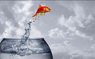 Efecto Pigmalión – ¿Existe el Efecto Pigmalión Positivo?