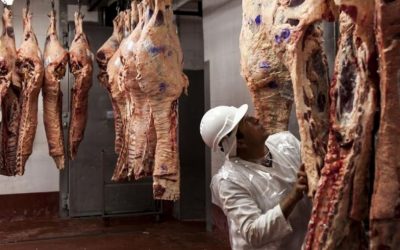 Exportaciones de carne bovina significaron el ingreso de más de USD 1.500 millones