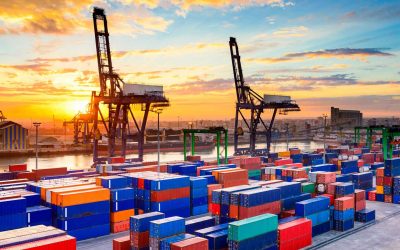 OMC alerta sobre aumento de la concentración de comercio