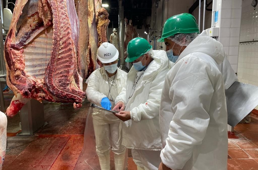 Mayor volumen y mejores precios impulsan las exportaciones de carne bovina​