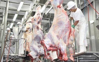 El faenamiento en octubre creció en relación con el año anterior