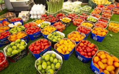 USDA ajusta al alza su proyección de producción de trigo y reduce la de soja