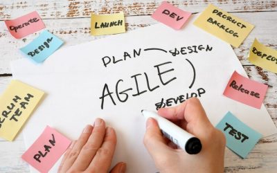 Organización Inteligente: principales rasgos