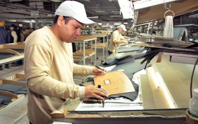 Sector terciario y Mipymes tienen la mayor proporción de la población ocupada​