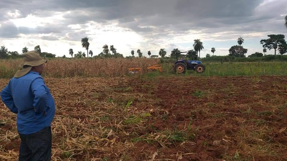 USDA estima merma de 1,5 millones de toneladas de soja para Paraguay