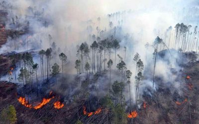 Gastos en siniestros agropecuarios e incendios aumentaron significativamente​