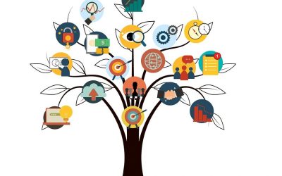 Primeros resultados de la investigación de tendencias de consumo