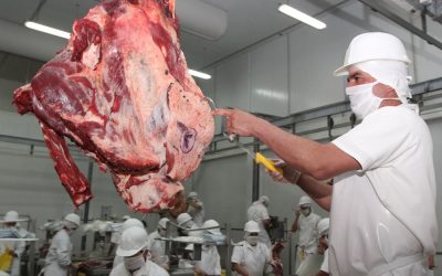 Exportaciones de carne bovina aumentan por mayor volumen y mejores precios​