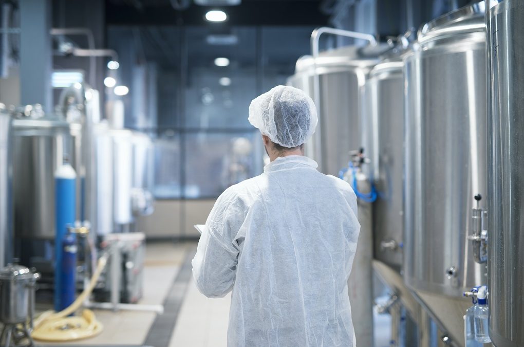 El año 2024 cierra con buena dinámica en MOI, compensadas por exportaciones MOA