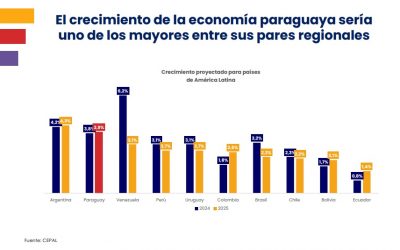 Perspectivas económicas 2025: Paraguay estaría creciendo en torno a su nuevo potencial