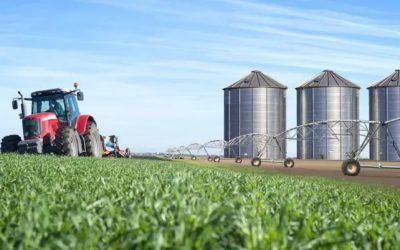 Agroindustria tiene desafíos y oportunidades en el 2025​