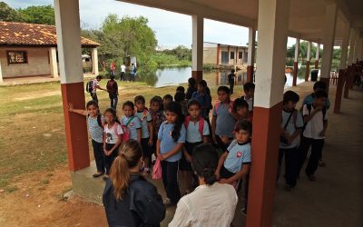 Paraguay avanza en educación, aunque persisten desafíos​