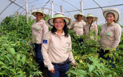 Desafíos y avances en equidad de género en América Latina y Paraguay