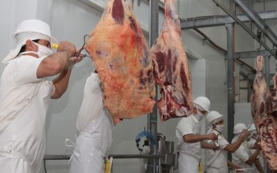 El precio promedio de las exportaciones  de carne bovina impulsa ventas en febrero​