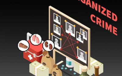 Informe destaca urgencia de enfrentar el crimen organizado en América Latina y el Caribe