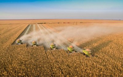 Brasil arranca 2025 en expansión económica impulsada por el agro