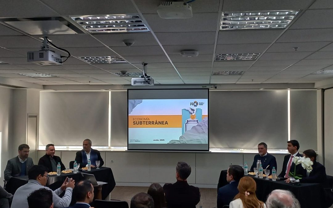 (Economía) Economía informal moviliza USD 15.777 millones y representa 35,1% del PIB paraguayo en 2024