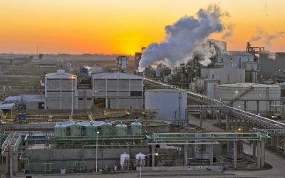 Molienda con señales de recuperación en un escenario de menores exportaciones​