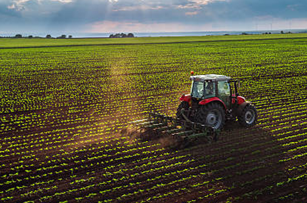 Milei anuncia baja de retenciones al sector agropecuario