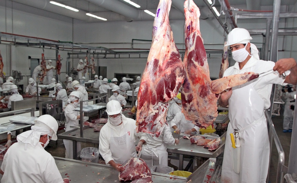 exportación de carne vacuna a junio