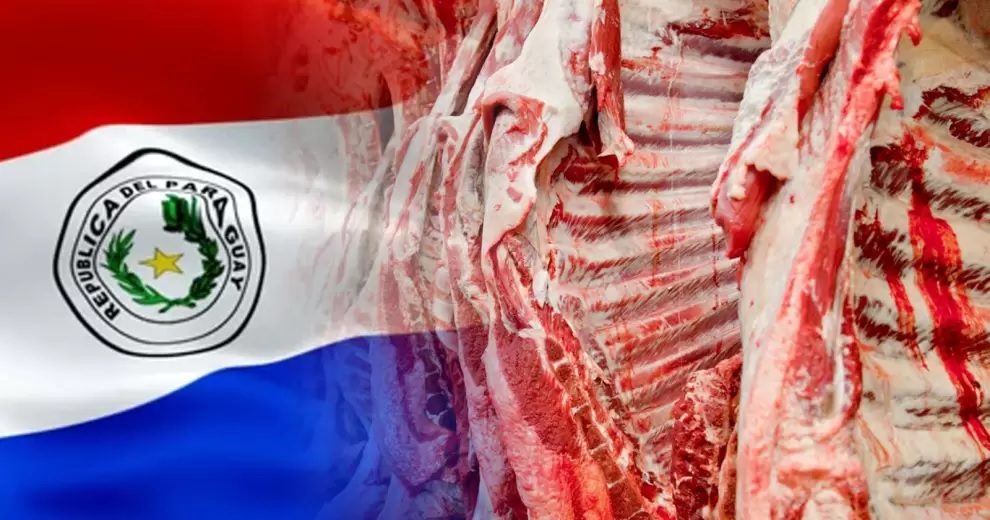 Carnes y derivados de soja impulsan exportaciones manufactureras